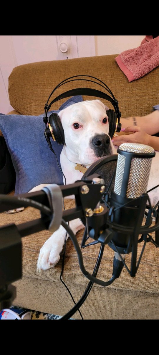 AlbumRebrews's tweet photo. @PodcastMovement This is Roscoe. He hosts a pawdcast. https://t.co/uFStioSylt
