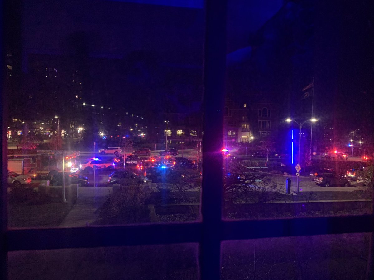 cdzzy's tweet image. A fucking fever dream. If everyone really wanted to “protect their children”, theyd ban the fucking guns.