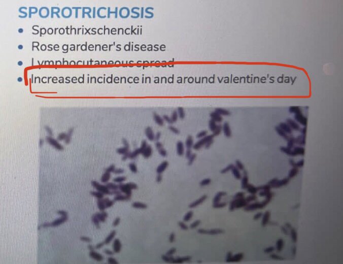 One more reason to stay single this Valentine’s Day 😂