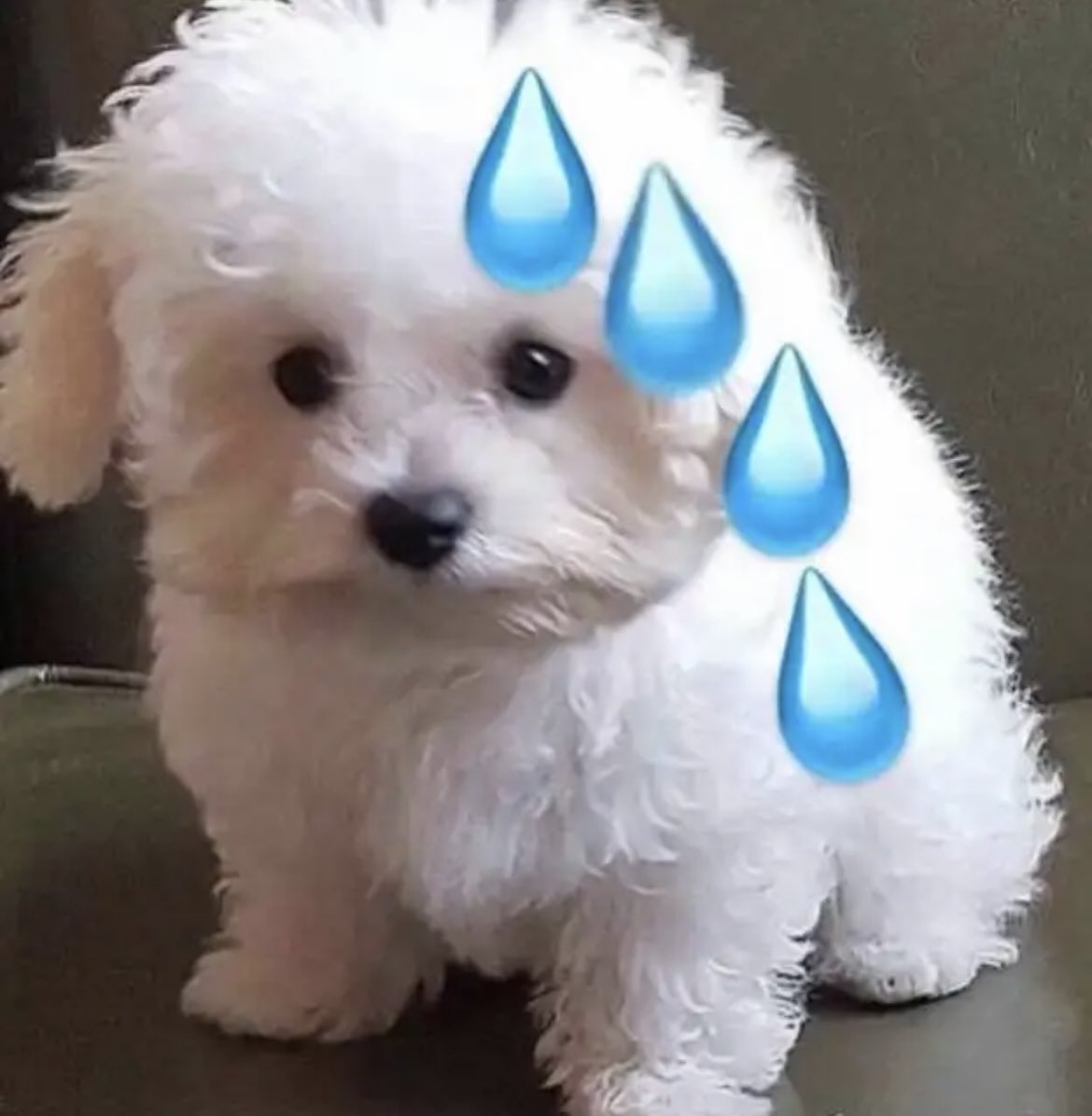 相差七岁听起来还好，也没那么惊世骇俗，但那天我俩聊天，我说xx年的时候我刚上大一，问他那时候在干嘛，他说那年他小学还没毕业