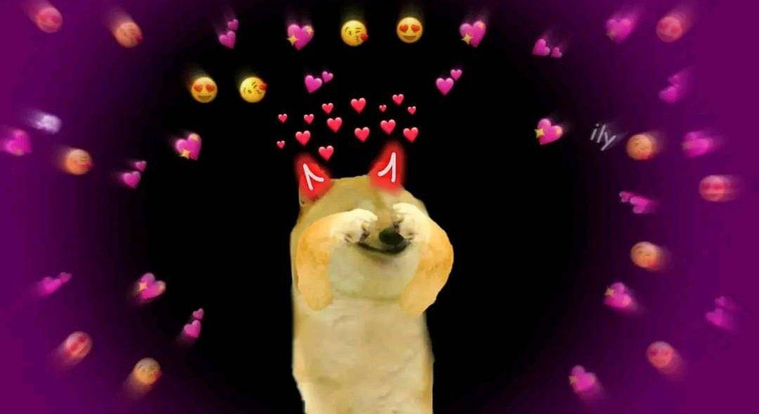 pbvkak's tweet image. #HeaderUpdated 🥰