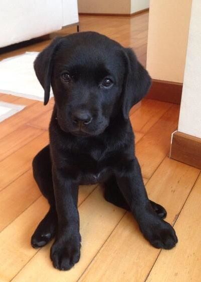 Happy Valentines Day Baby 
<a href="/ballxtbecnhlls/">Rᴜʙʏ Dᴀᴠᴇɴᴘᴏʀᴛ</a>