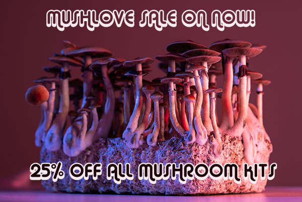 magicmushkit tweet picture