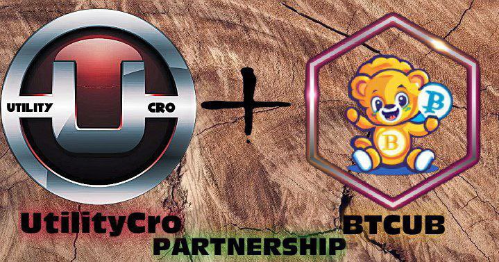 BitCoinCubs's tweet photo. BitCoinCubs x UtilityCRO Pits

12% $USDC x 10% $wBTC 
Stable Rewards  
BitCoin Rewards

NFT’s with staking features. 
Amazing communities, Outstanding Rewards, Organic Growth. 

The next best partnership on Cronos.
#crofam #DeFi 
https://t.co/ZmogRnCaEr
https://t.co/zLk43a7nwj https://t.co/UlOKtG5ycz