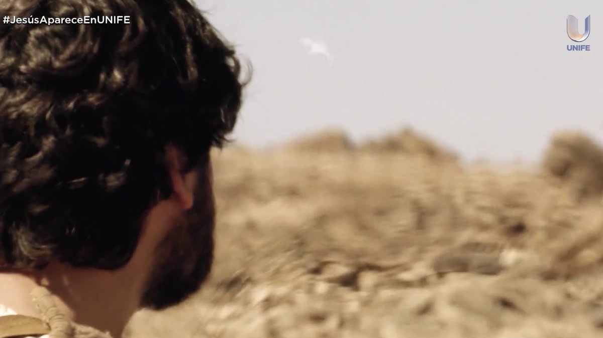 ObispoFranklinS's tweet photo. Cada episodio se pone mejor. 👏🏻 #JesúsApareceEnUNIFE https://t.co/JhO9geuBEU
