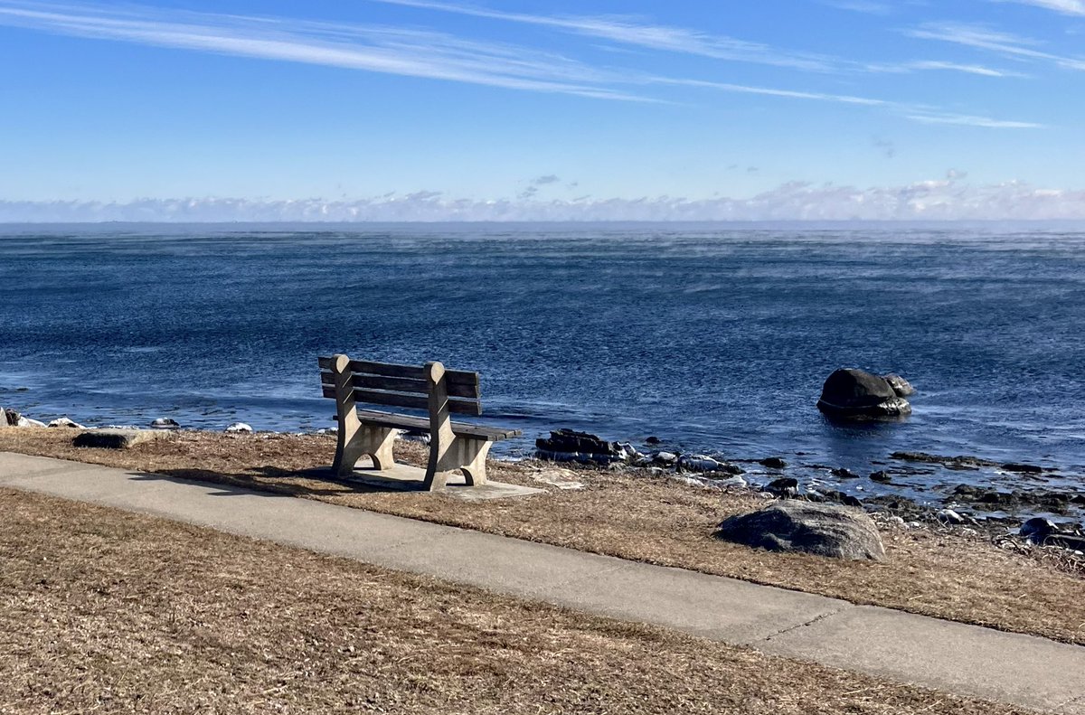 ClarityRenee's tweet photo. #NaturePhotography #Maine #birdphotography #Maine #NewHampshire #NatureBeauty https://t.co/Bs8J7wmR8Q