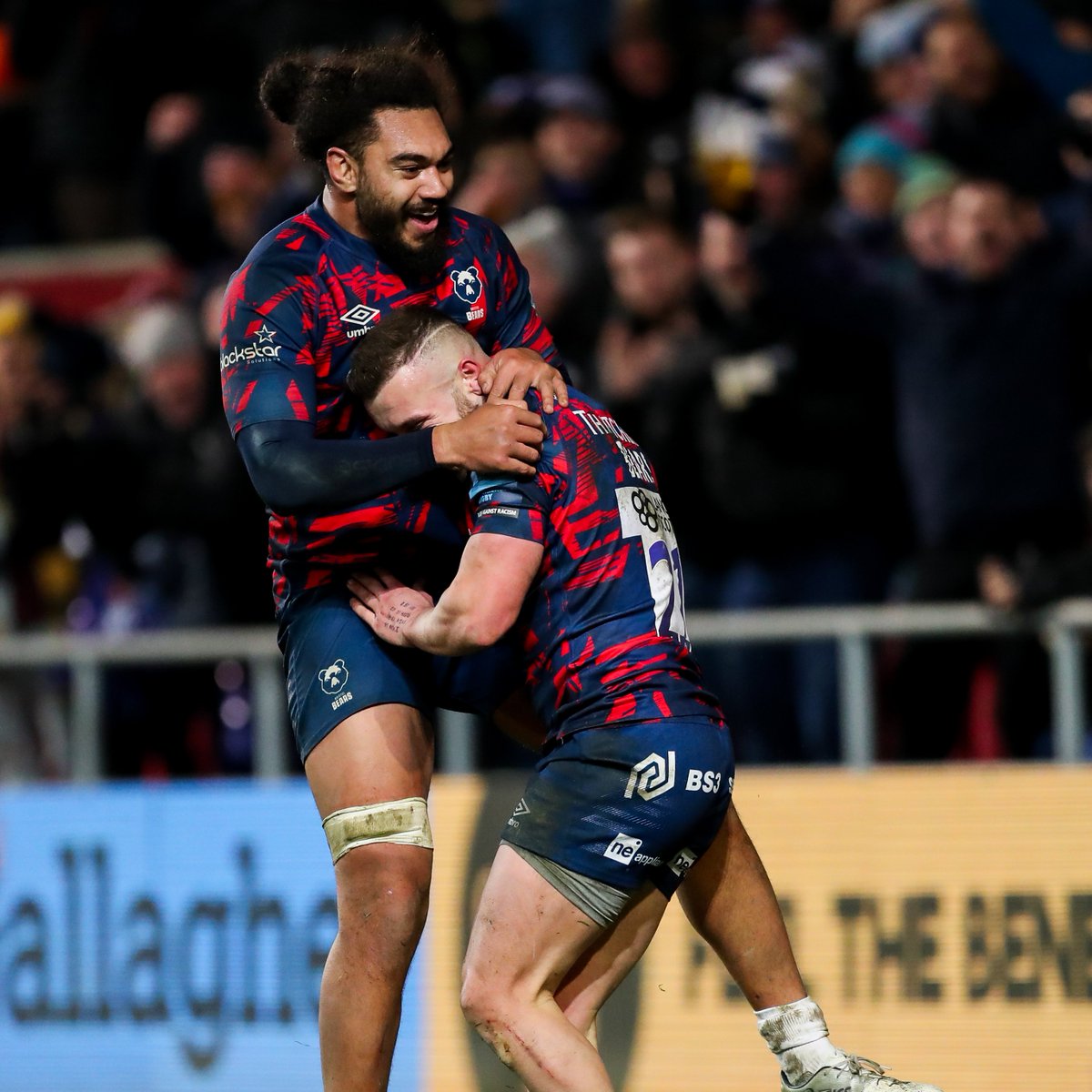 Bristol Bears 🐻 tweet media