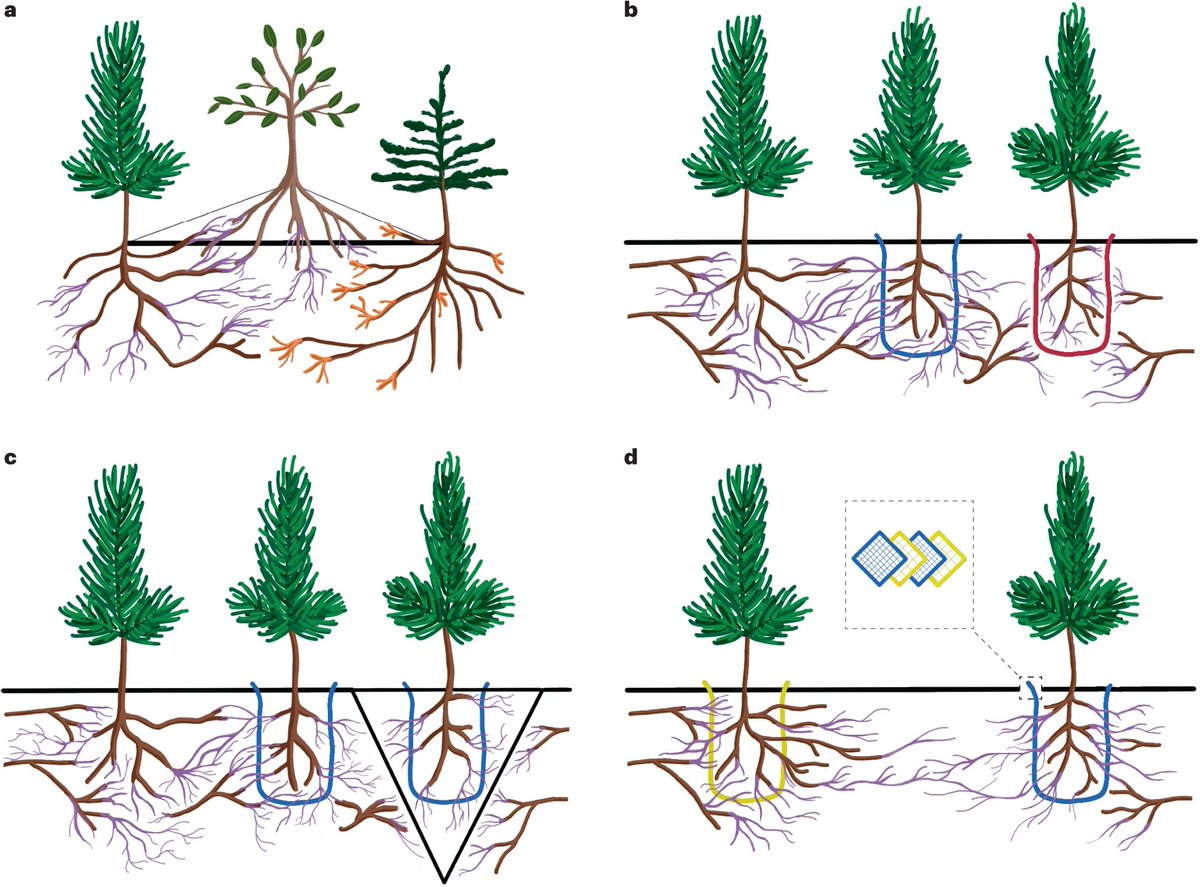 NatureEcoEvo tweet media