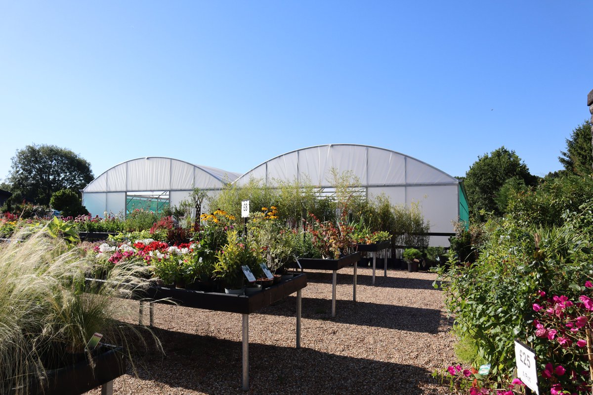 Why not contact our #Horticulture sales team today to see how our wide range of #polytunnels could help you and your #plantnursery

polyhouses.com

#agriculture #polytunnel #growtunnel #growhouse