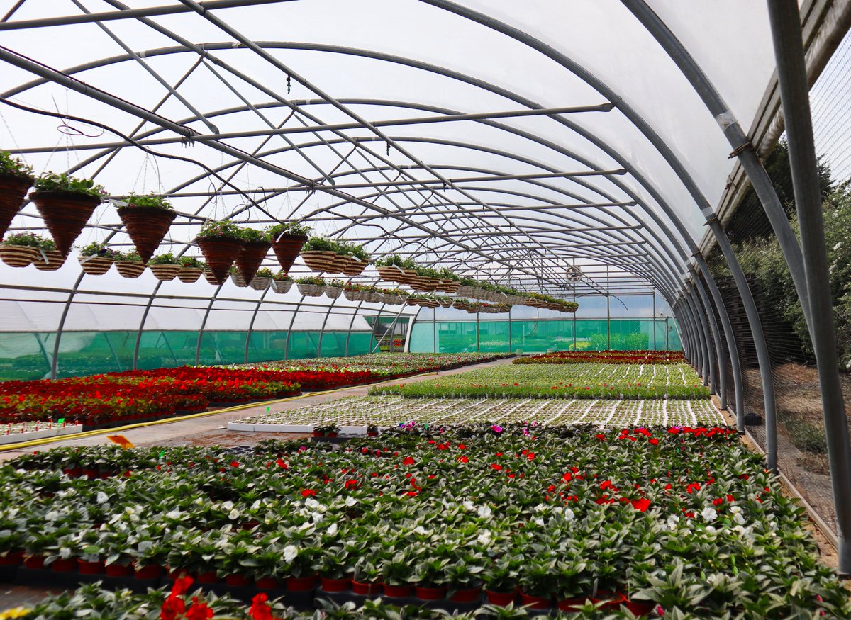 As of today, the #daylight will be longer and brighter - grasp this with both hands by installing one of our #commercial #polytunnels, designed to utilise those daylight hours for #plant development!

polyhouses.com

#daylightsaving #horticulture #agriculture #polytunnel