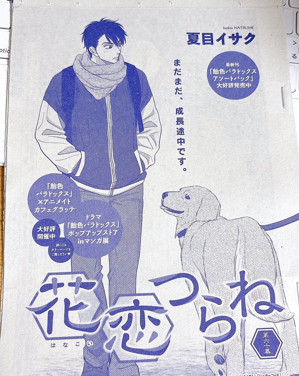 本日発売のD+、#花恋つらね 載ってます👘宜しくお願いします!
今回は主に源介とクマ爺の師弟話…🧸 