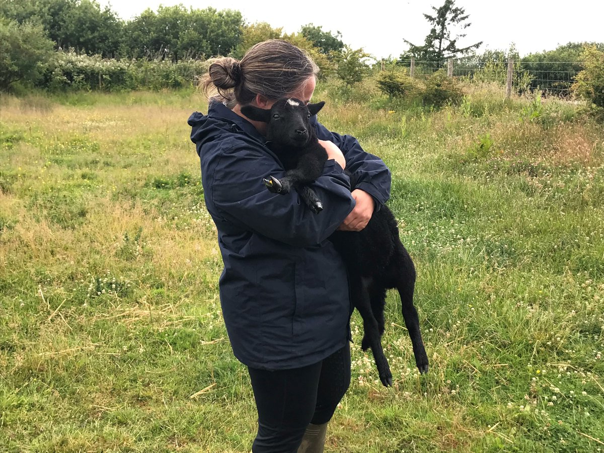 ClyneFarmCentre's tweet photo. ❤️ Happy Valentine's Day ❤️
Pictured is Sara (one of our team members), having cwtches with Teagan.
#SharingTheLove #ValentinesDay #Cwtches https://t.co/6aayCdm8nS