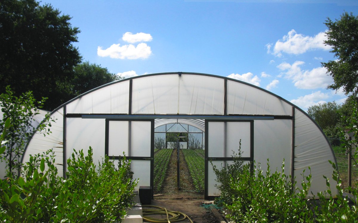 Small communities and initiatives strongly benefit from our #polytunnels, by enhancing the flowers colour, flavour and speed of #crop growth

polyhouses.com

#horticulture #polytunnel #communityinitiatives #worldsocialworkday