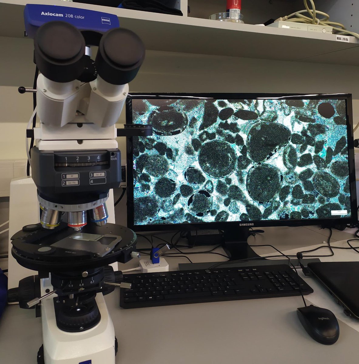 gustgap's tweet image. A @CERENA_research study on understanding high temperature effects on #limestones at the #microscopic scale @eME_Vigo. We are excited to get great #images and better conclusions 😉