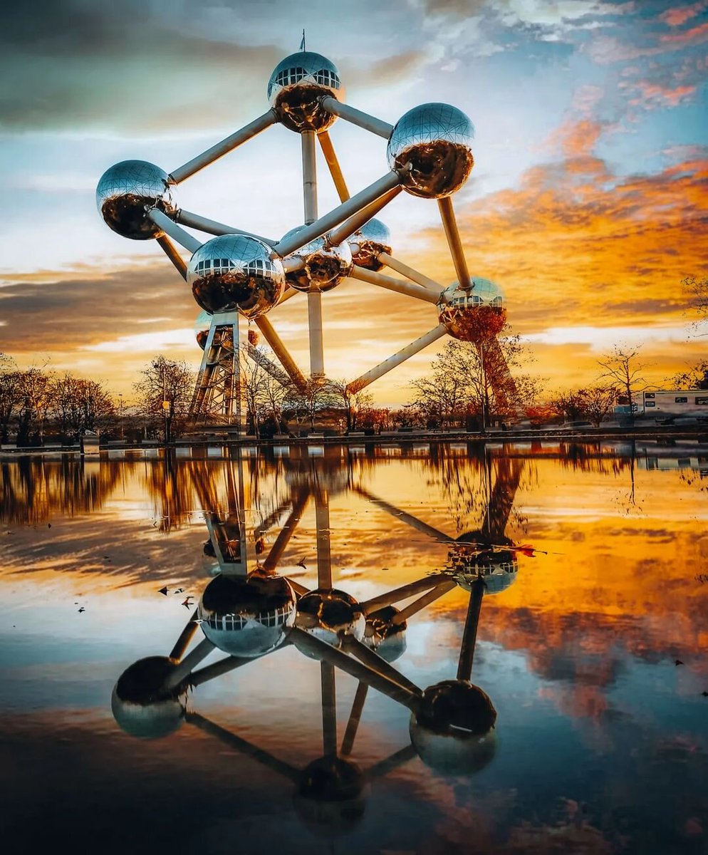 Travel Tomorrow tweet media