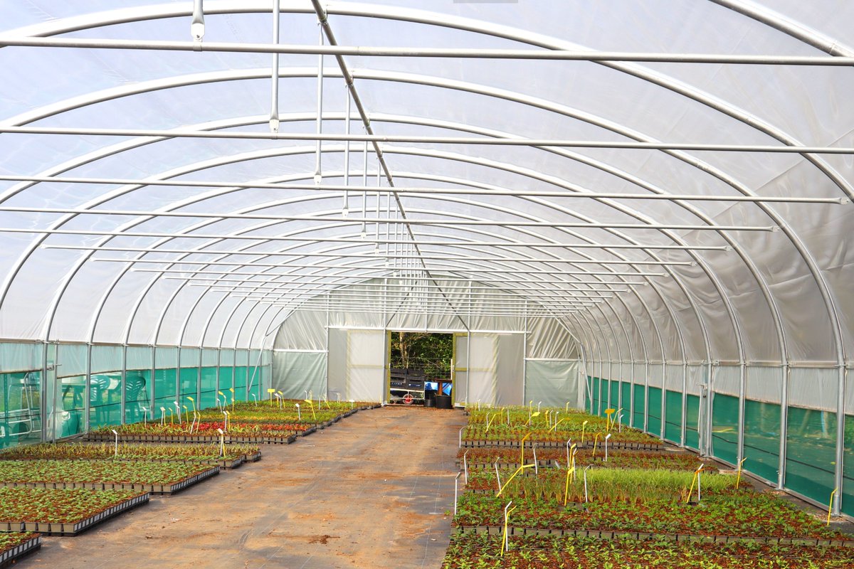 Our #tunnels have been spotted for a range of uses; for young tree growing, seed #planting spaces, protected retail at small #nurseries, &amp; even as a large-scale grow #tunnel.

See what we can do for you: polyhouses.com

#horticulture #agriculture #growtunnel #polytunnel