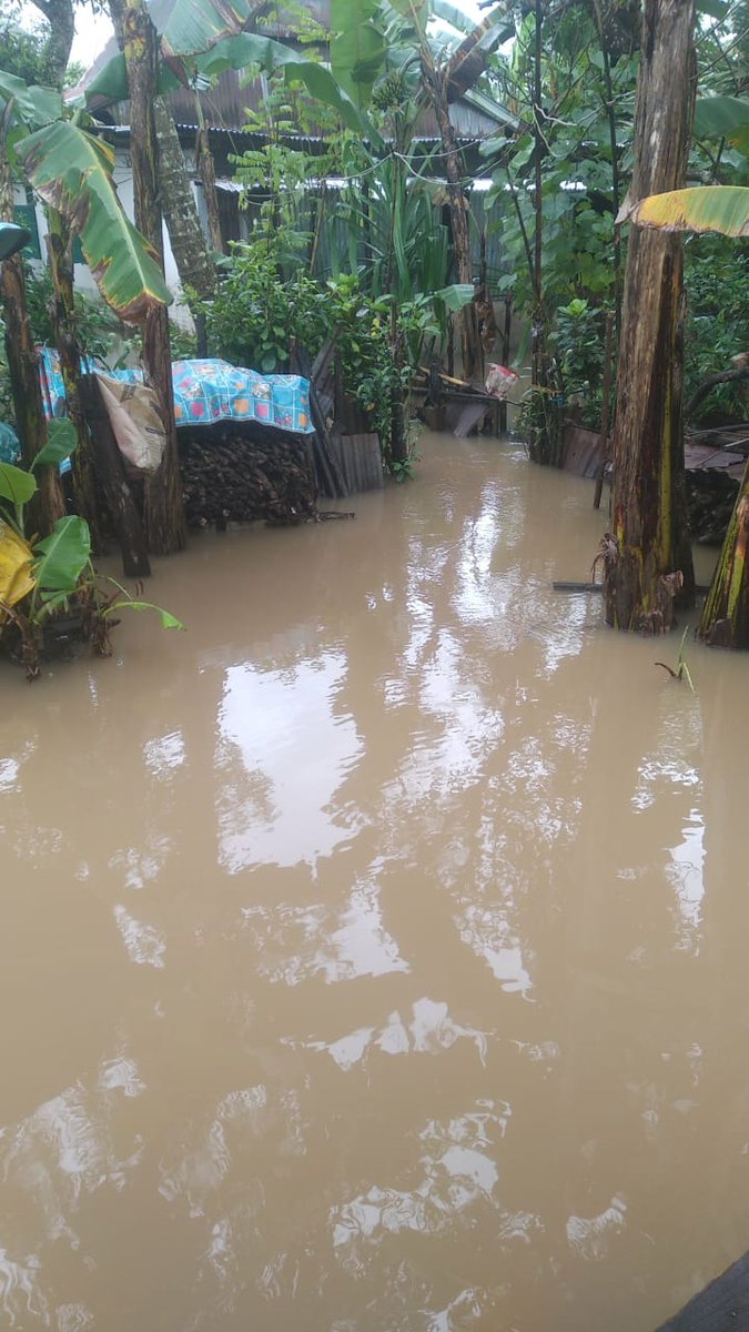 MandorCarru's tweet photo. @MASABAPERKI di gowa , jl. poros malino halaman, air tinggal 5 sampe 10 cm sudah masuk ke rumah.... https://t.co/Vdv67tSM2P