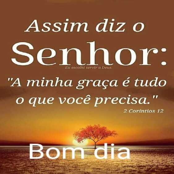 Fernandes:ROBO do Bolsonaro até 2027🇧🇷.Solteiro. on Twitter: Fernandes:ROBO do Bolsonaro até 2027🇧🇷.Solteiro. on Twitter: