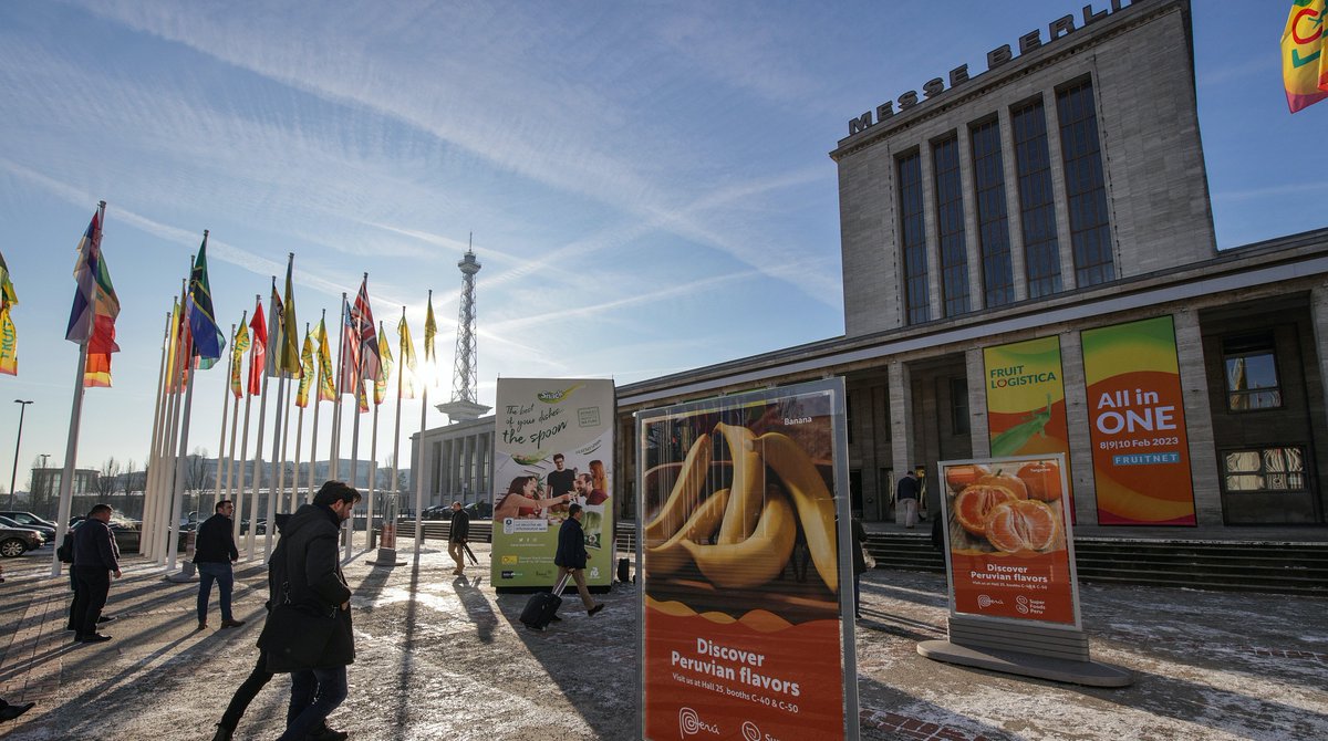 🙌 Successful conclusion for FRUIT LOGISTICA 2023. Over 63,400 trade visitors and buyers from 140 countries met last week in Berlin. With around 2,600 exhibitors from 92 countries, it was our most international edition ever. Read more👉rebrand.ly/weu6gxb  #fruitlogistica2023