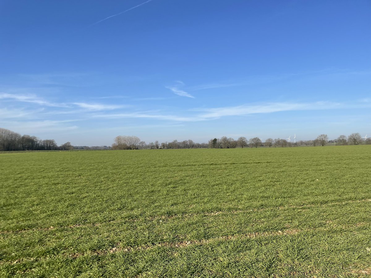 En ce moment <a href="/MoisdonNegoce/">Moisdon Negoce</a> accompagne nos agriculteurs dans leur stratégie de désherbage et fertilisation comme la modulation intra-parcellaire! Comment ne pas avoir le 😎 avec le 🌞et notre belle campagne <a href="/NegoceAgricole/">Le Négoce Agricole</a> <a href="/agriculteursBzh/">AgriculteursBretagne</a> <a href="/TerrenetFR/">Terre-net.fr</a> <a href="/agrodisT/">Agrodistribution</a> @PaysanBzh_Hebdo