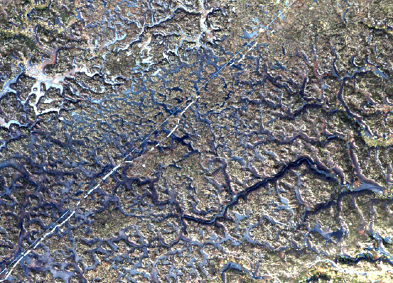 National Innovation Centre for Rural Enterprise tweet media