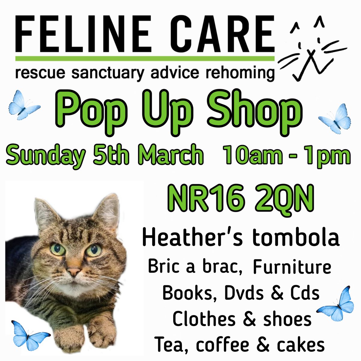 FelineCare's tweet photo. Sunday 5th March, Come out to our Pop Up Shop held in the car park at Feline Care Cat Rescue NR16 2QN. https://t.co/ZGbZvy76c8