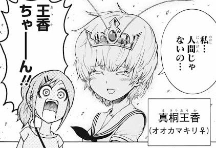 パピヨンオージャー
カマキリオージャー
ハチオージャー 