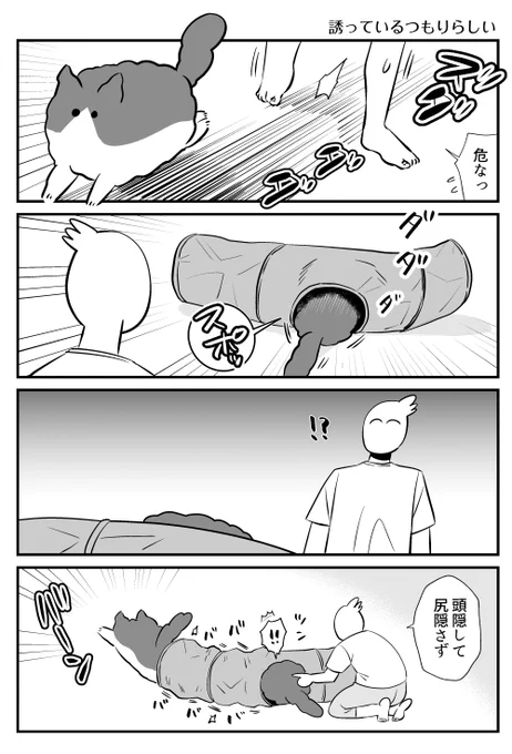 最近尻だけ出してる 