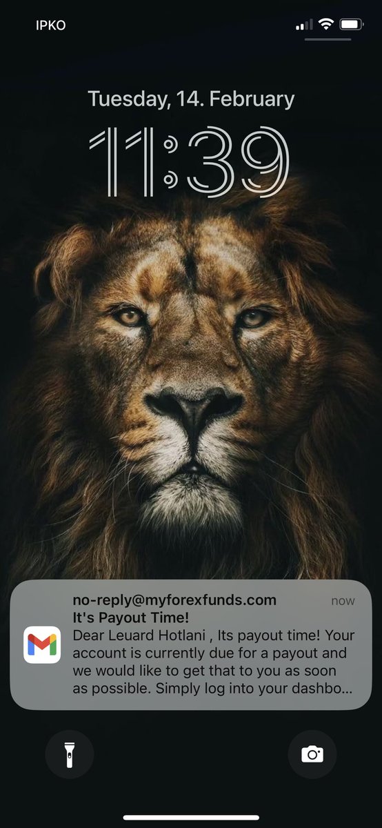 leo tweet media