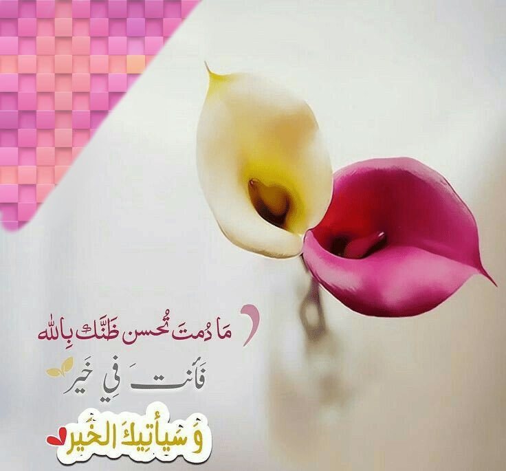 ♛ príncєss ♛ tweet media