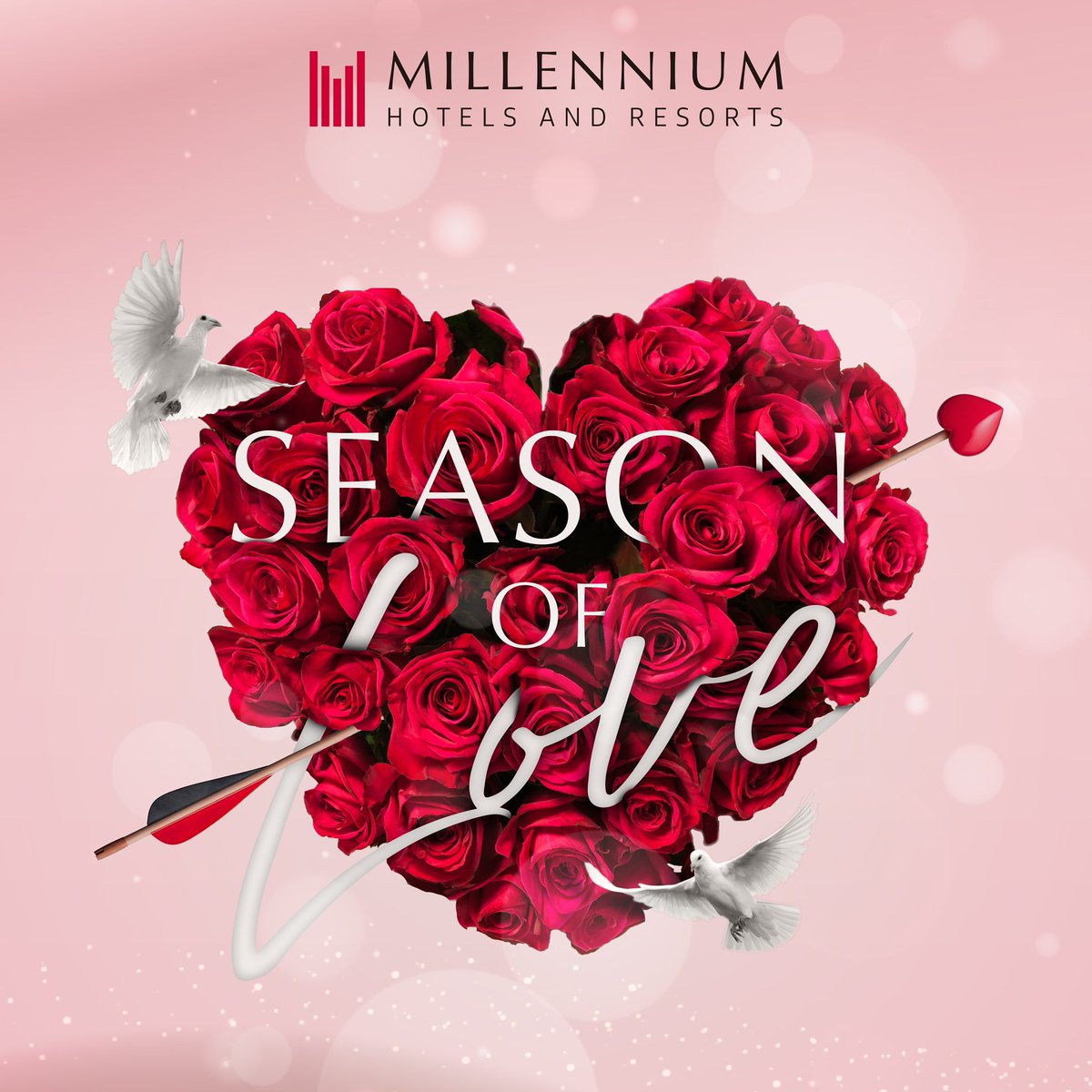 CopthorneKuwait's tweet photo. Book a private tent and surprise your love one with a romantic dinner at Copthorne Al Jahra Hotel.

For reservation : 6990 1966

#copthornehotelkuwait #valentines #romanticdinner #mymillennium #millenniummea https://t.co/r5qA6VTt4T