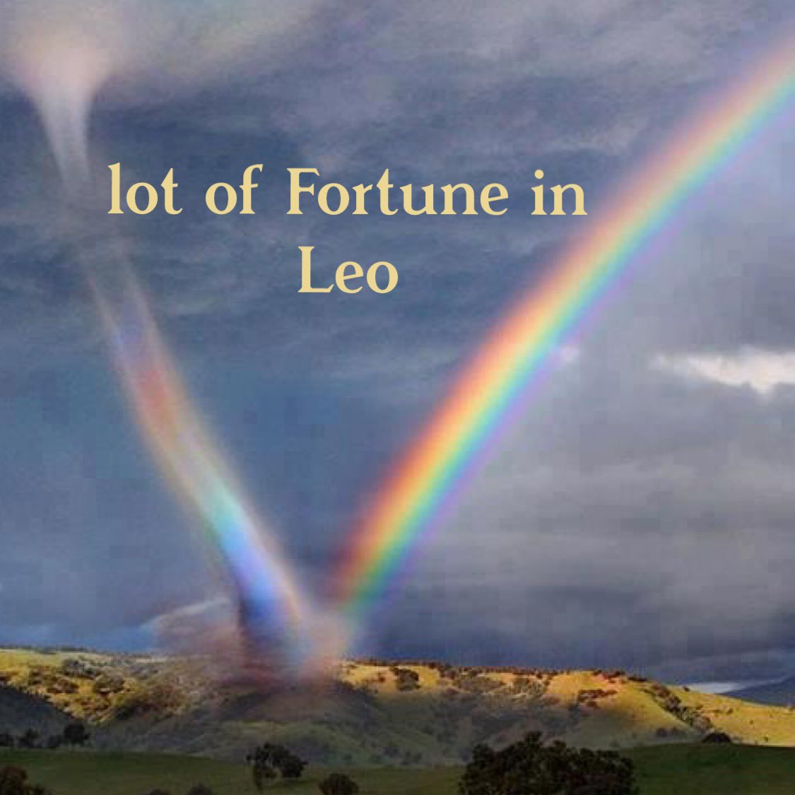 mercurialsarah's tweet photo. Leo https://t.co/PGnCECJddm