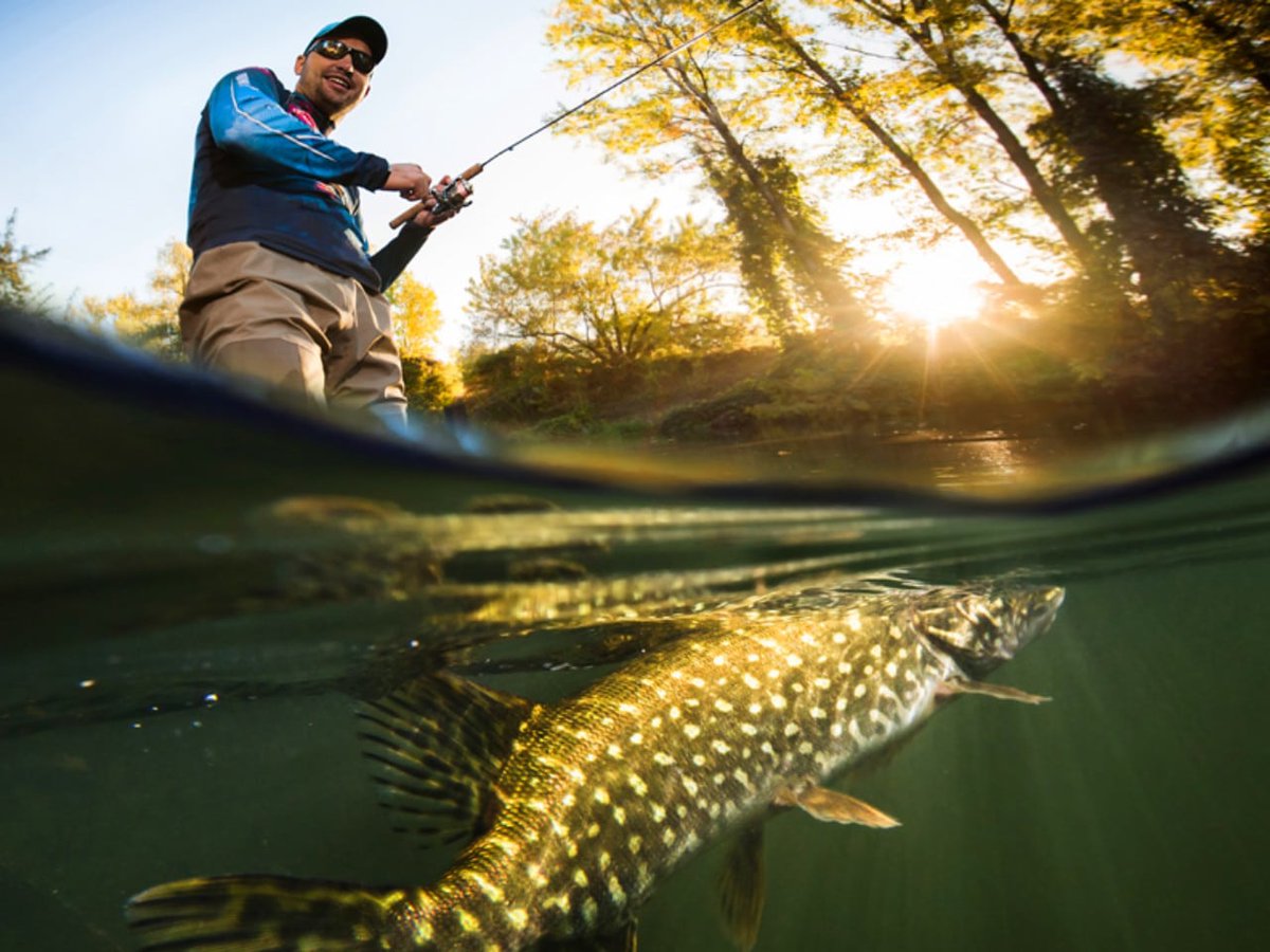 OceanBlueFish's tweet photo. An underwater drone may just be what you're missing on your fishing trip. Here's why the PowerRay is considered one of the best!

https://t.co/dMhTHLJEfl

#drone #Fishing #Feature #Powerray #Powervision #tech #Underwater #camera #oceanbluefishing https://t.co/2hdN9pTQvl