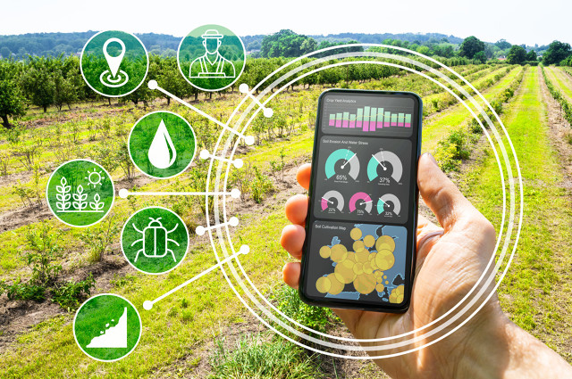 SmartindustryCN's tweet photo. Using digital power to spur rural growth!📈👩‍🌾

#China vows to speed up the application of #bigdata in rural areas and promote intelligent agriculture, using the 'Internet+' mode to drive agricultural e-commerce and boost rural vitalization.🚜🌐 https://t.co/0qv67cGtle