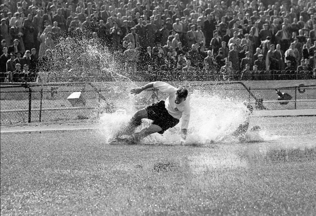 Sir Tom Finney FC tweet media