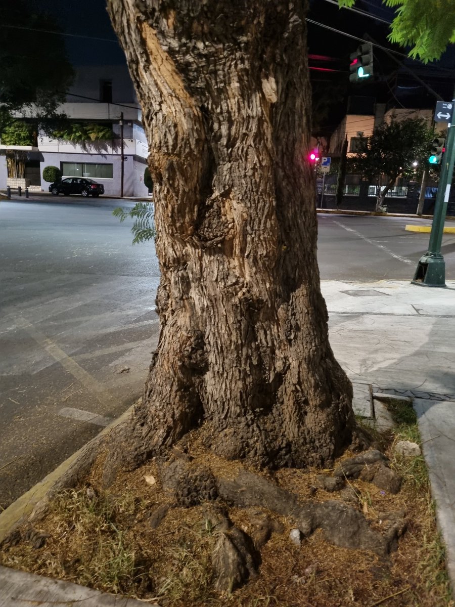 SBadui's tweet photo. @AccionesBJ @Telmex @TELMEXSoluciona @BJAlcaldia Muchas gracias, ya quitaron los cables. https://t.co/xSCi3sX5uU