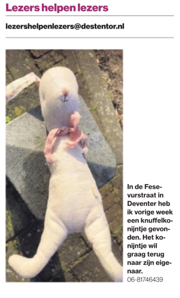Westrik's tweet photo. Op de dag van de ❤️ zal deze #knuffel zekers worden gemist. 
Wie o wie? #rtislief #konijn https://t.co/vFRS75kco5
