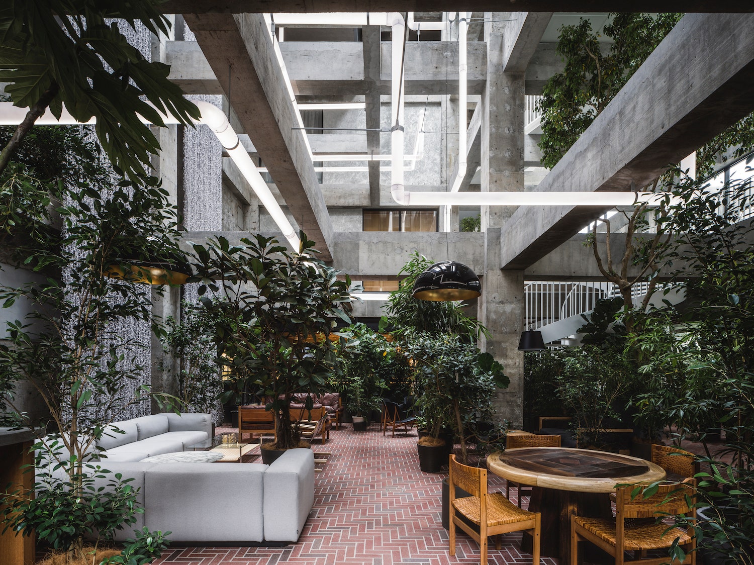 新品未開封　Shiroiya Hotel Giving Anew 白井屋ホテル 白井屋ホテル 初の書籍出版「Shiroiya Hotel Giving Anew