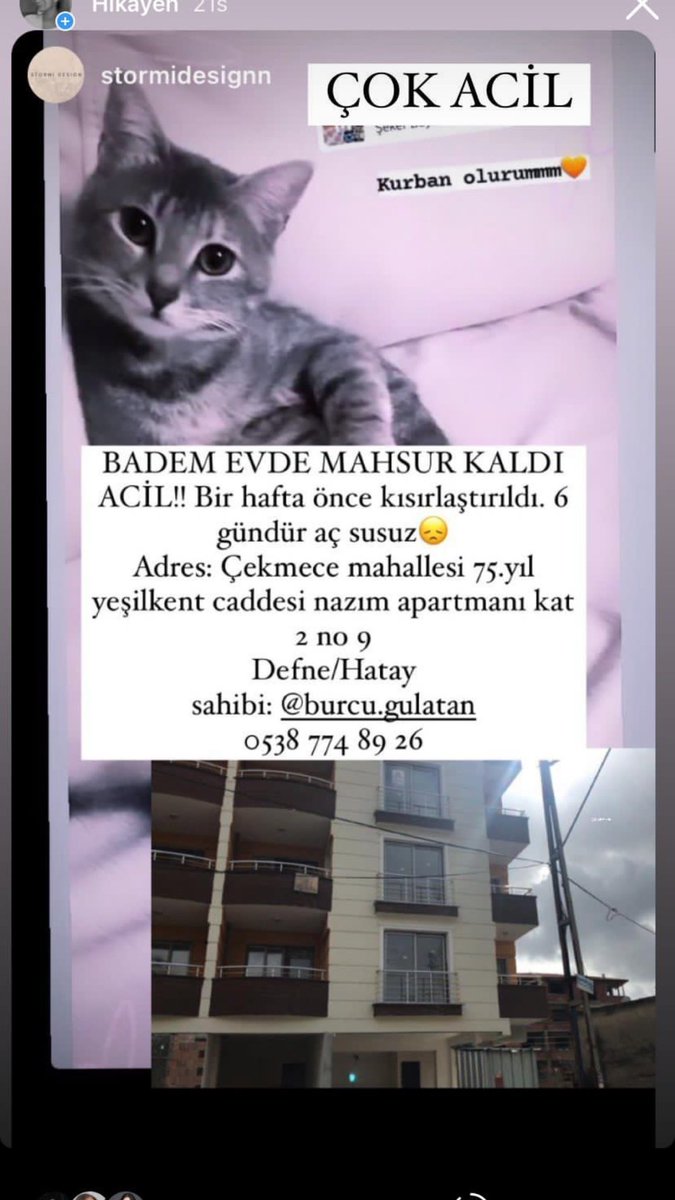 Ankara Patiliköy (@ankarapatiliky) on Twitter photo 