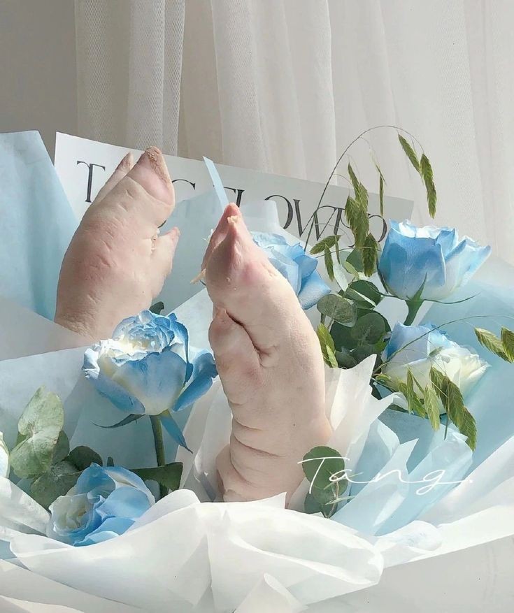 ESKLUSIF's tweet photo. ● Spesial Tag Buat Orang Kesayangan 

@tifpsy @taeyongqe @miebrachim @keljinciy @hyeiwonv @lonjurn
@ljncte @jendukiz 

Wishing you all the love in the world this Valentine’s Day. https://t.co/Oe1N5MTHmI