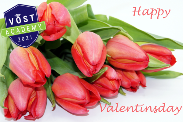 Happy  Valentinstag ❤️
Kluger Schachzug der Floristen oder war es doch der heilige Valentin?
🧐Seminartipp: Fake News erkennen / 16.02.2023 / 19 Uhr /  #VOSTacademy
Anmeldung an: seminare@vost-academy.eu
#VOSTacademy #FakeNews #Valentinstag #Seminar