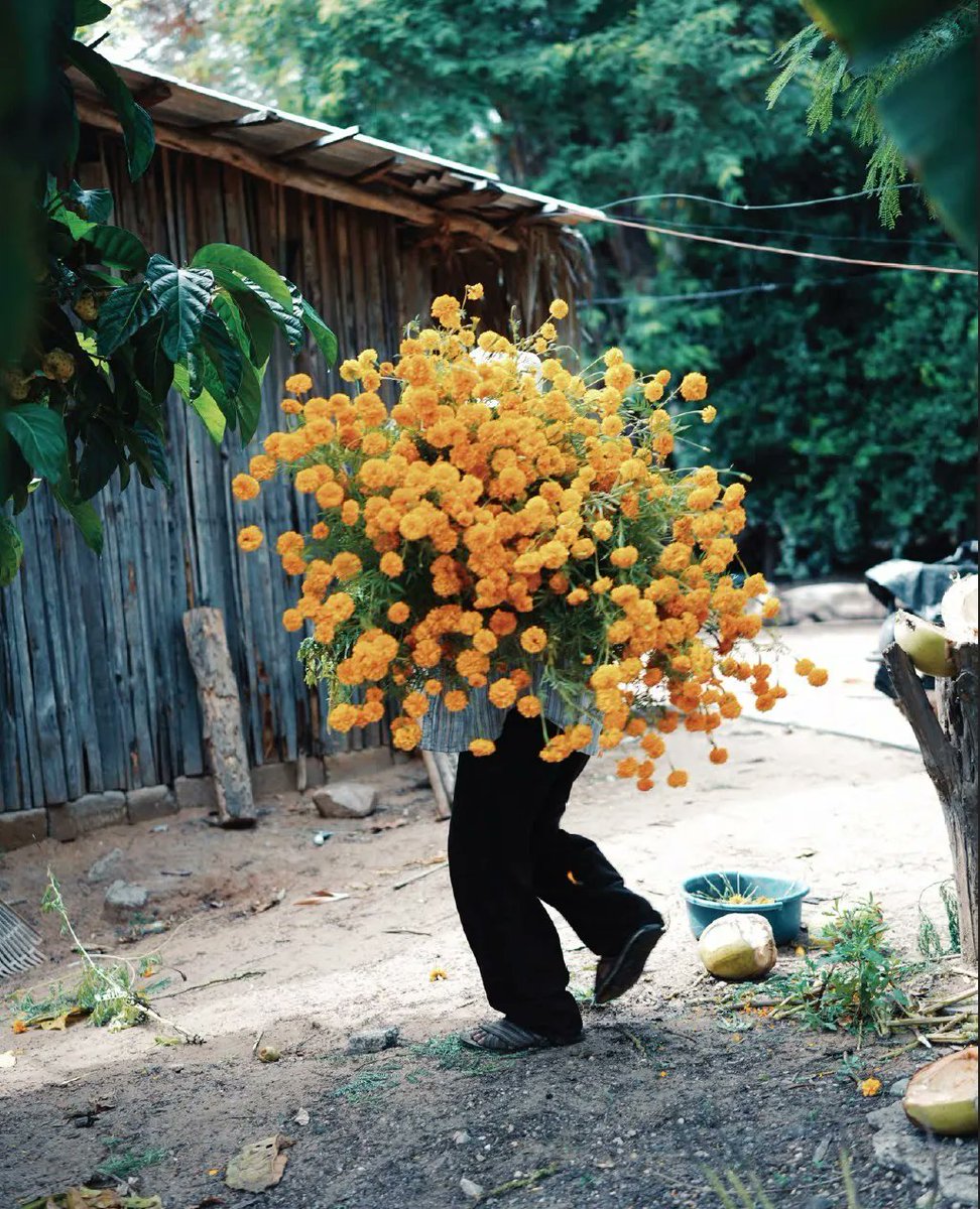 Discover a love letter to Mexico from photographer Pia Riverola⁠'s monographic debut 'Flechazo', an ode to its culture, people and spirit 🇲🇽⁠