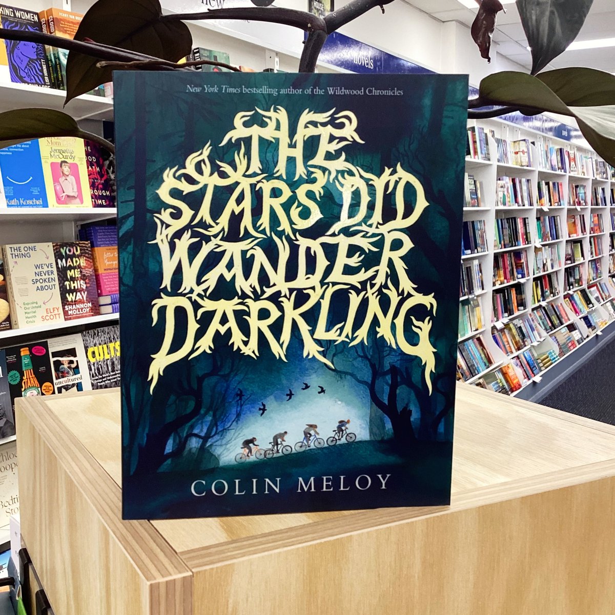 BooksAtOrange's tweet photo. #StaffPickOfTheWeek
The Stars did Wander Darkling by Colin Meloy
Demelza says: "This is perfect for those wanting an epic adventure, with some classic good vs. evil, and a hearty dash of the supernatural. It has your attention from the first page. Best suited to readers 15yrs+." https://t.co/KRrMnA6ZUQ