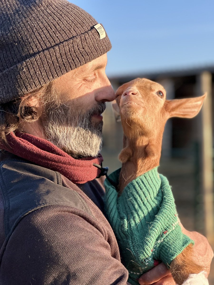 santuariovegan's tweet photo. Edu y Violeta 🥰🐐
¿Existe algo más bonito que la relación entre un animal rescatado y su cuidador?
Cuando además es totalmente dependiente y tiene la inmensa fortuna de tener a alguien que cuide de ella, es algo que vale la pena ver y conocer.
Ayúdanos🙏 https://t.co/9DsEFFtKOO https://t.co/dyC04lXGeS