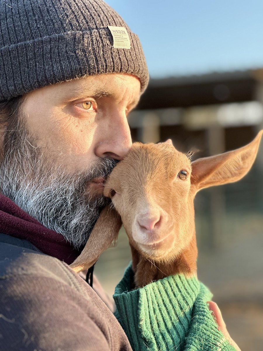santuariovegan's tweet photo. Edu y Violeta 🥰🐐
¿Existe algo más bonito que la relación entre un animal rescatado y su cuidador?
Cuando además es totalmente dependiente y tiene la inmensa fortuna de tener a alguien que cuide de ella, es algo que vale la pena ver y conocer.
Ayúdanos🙏 https://t.co/9DsEFFtKOO https://t.co/dyC04lXGeS