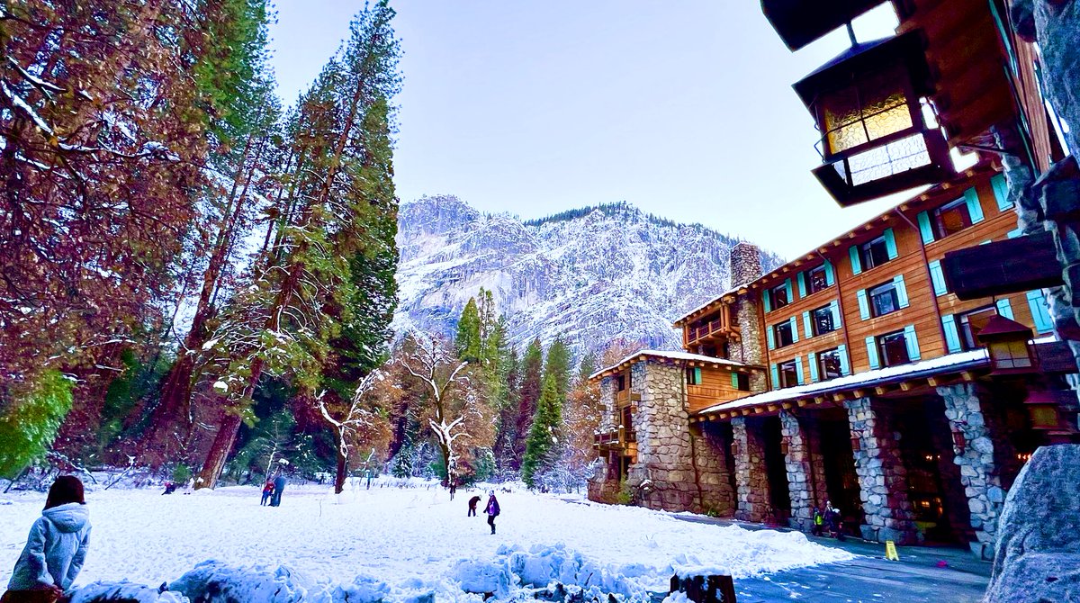 #yosemitenationalpark #yosemite #california #yosemitevalley #nature #nationalpark #halfdome #travel #nationalparkgeek #nationalparks #hiking #visitcalifornia #yosemitenps #mountains #elcapitan #yosemitefalls #park #usa #landscape #roadtrip #adventure #yosemitepark #wanderlust