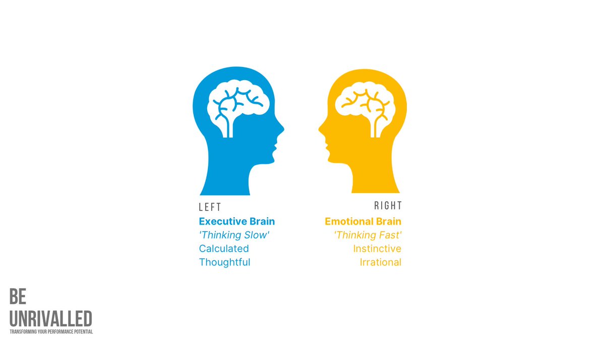 🧠 Training, utilising, controlling and maximising both?