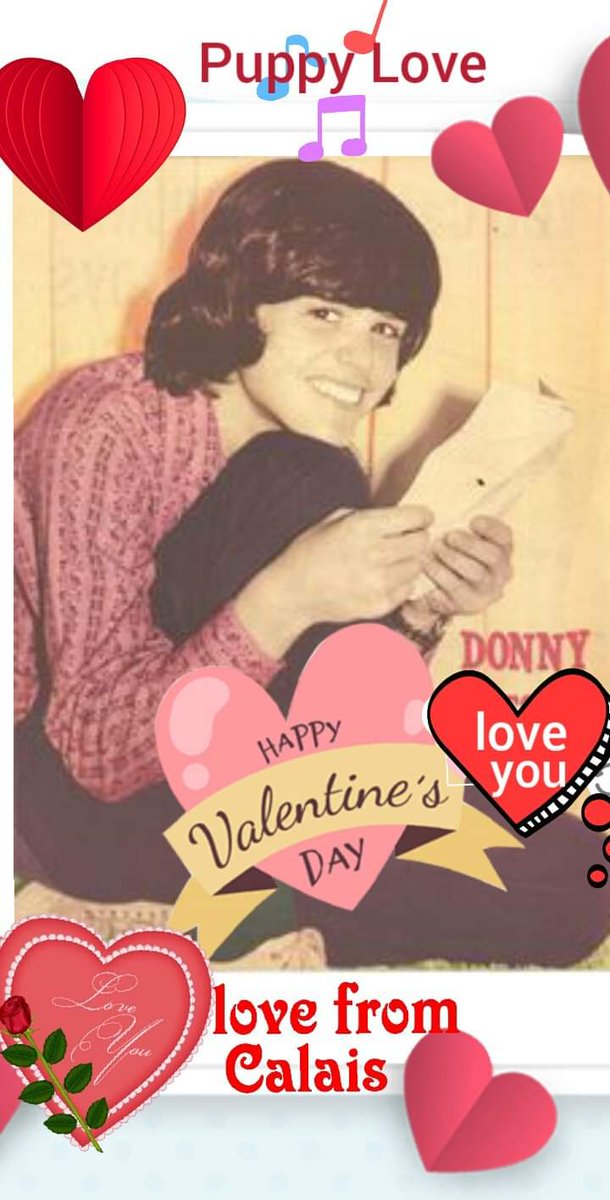BhamPolUk's tweet photo. Let's Get Donny Osmond Trending  #myvalentine #morethanpuppylove @donnyosmond #donnyosmond #Untill The 12th Of Never ❤ ❤ ❤ https://t.co/JxW9zh5INC