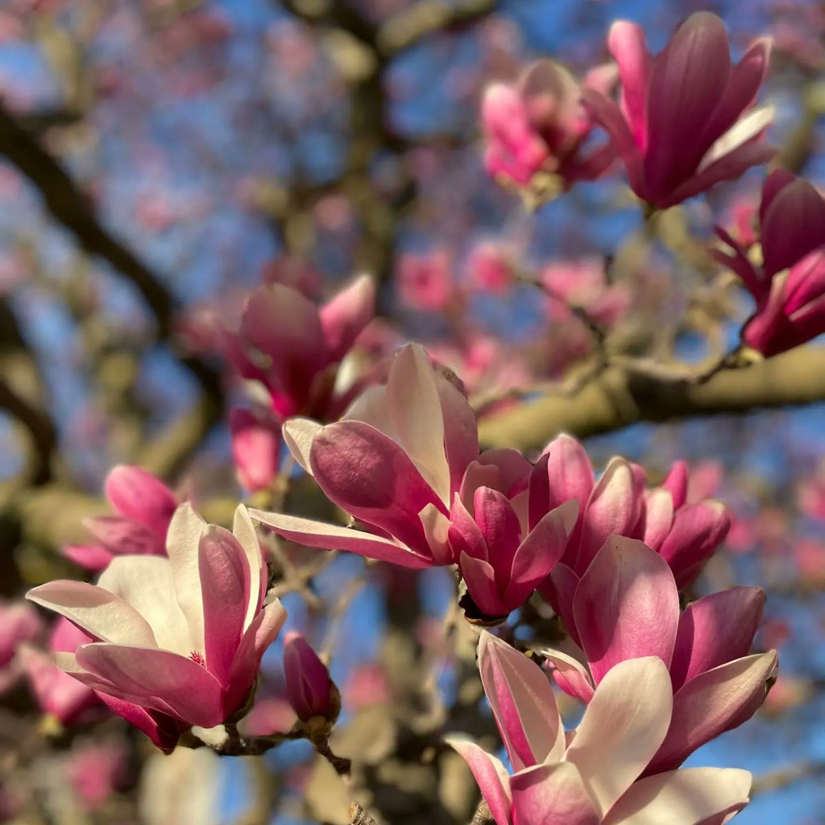 Universidad Deusto - Deustuko Unibertsitatea tweet media