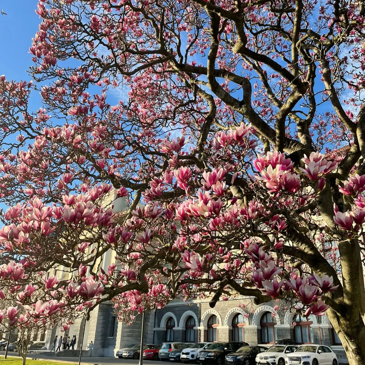 Universidad Deusto - Deustuko Unibertsitatea tweet media